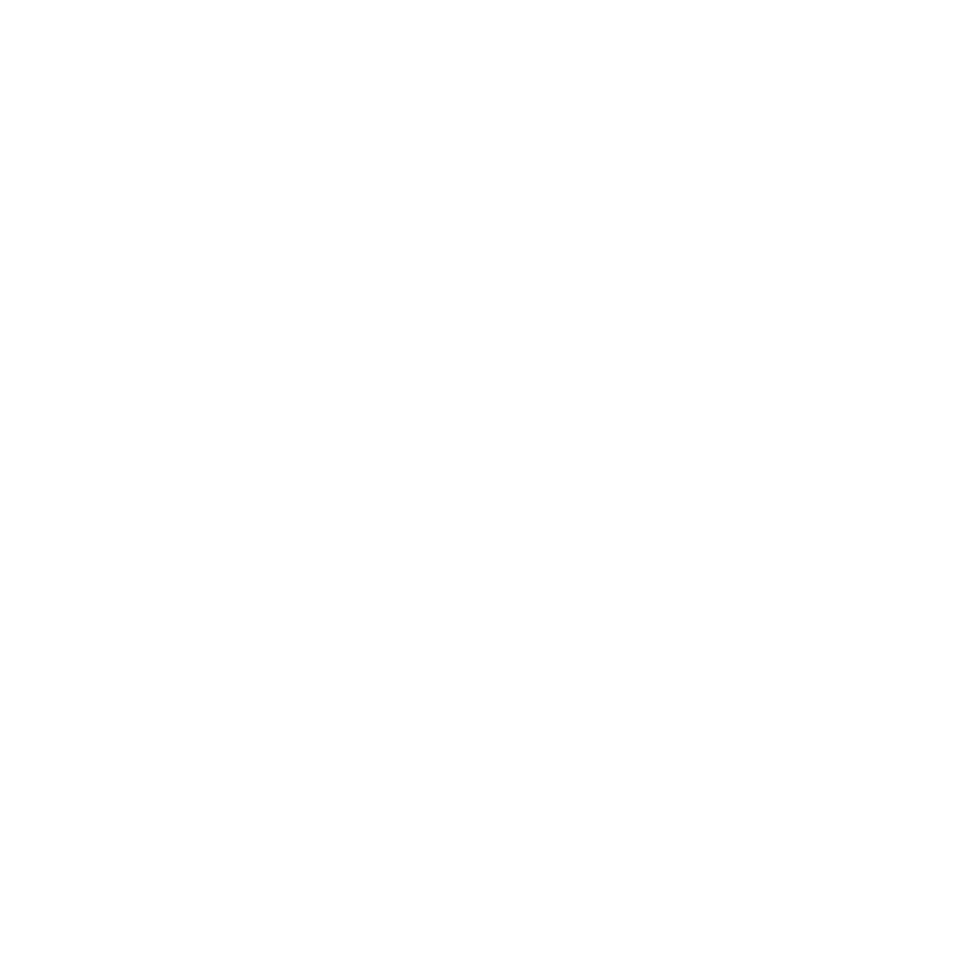 Icono de Posicionamiento SEO