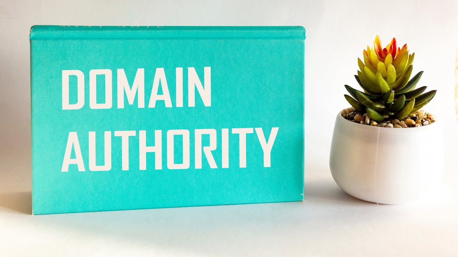 Domain Authority